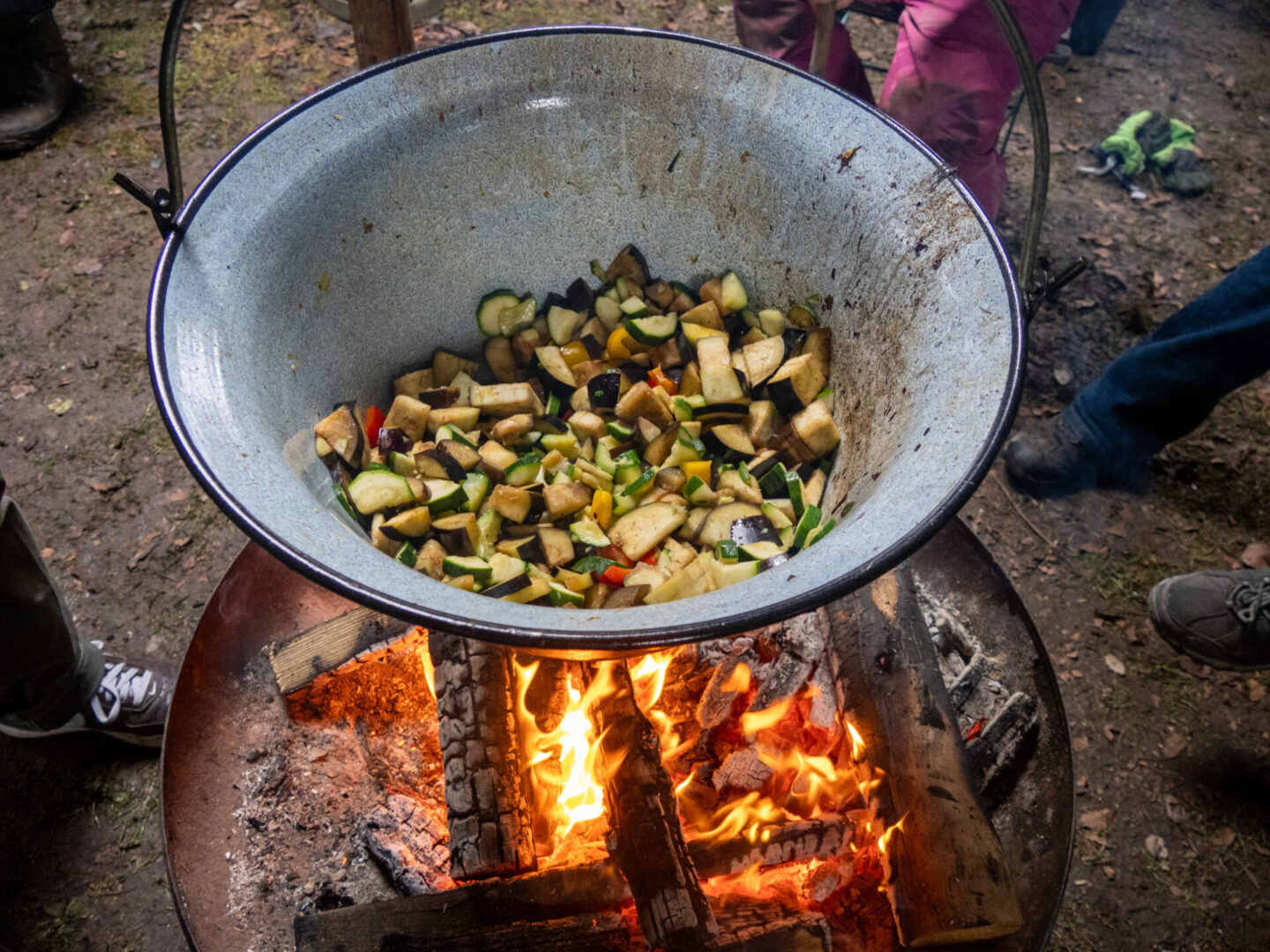 2026-02-15_11-24-11_0009_Ratatouille-Aktion